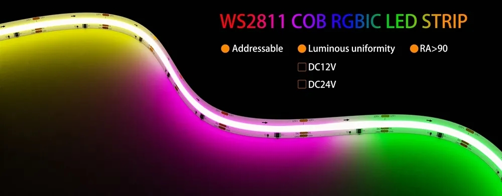 WS2811_720Leds_24110_1