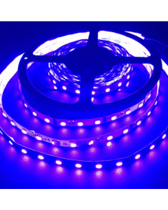 420-430nm UV SMD5050 LED Light Strip 60LEDs/M 5M DC12V