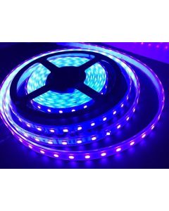 Ultraviolet 395-400nm LED Light Strip SMD5050 60LEDs/M 5M DC12V