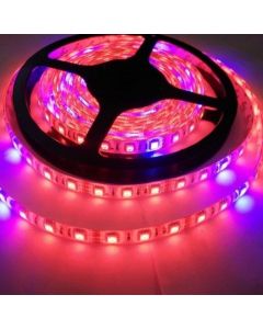 12V 5M Plant Growing 5050 Strip LED Flex Light Hydroponic Red Blue 8:1